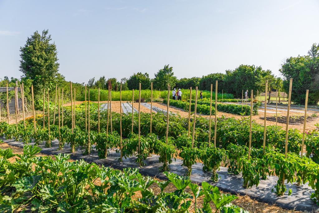 La Posa Degli Agri Alojamento de Acomodação e Pequeno-almoço Legnaro