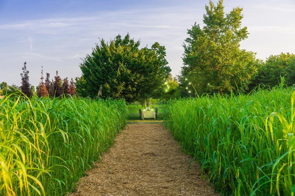 Alojamento de Acomodação e Pequeno-almoço La Posa Degli Agri
